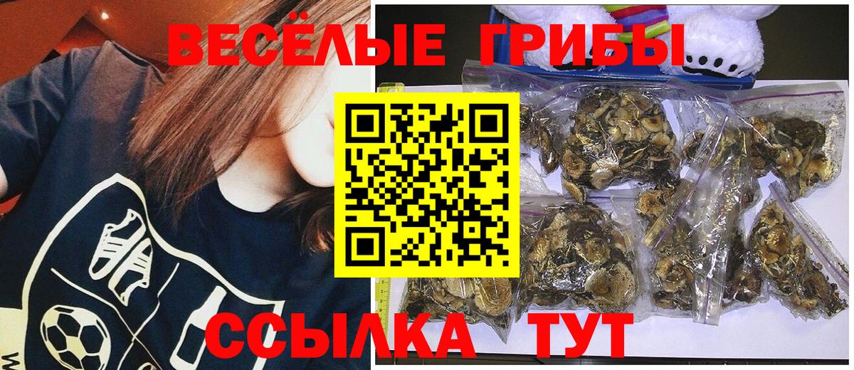Галлюциногенные грибы Cubensis Наро-Фоминск