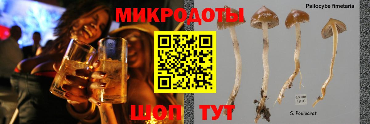 Псилоцибиновые грибы прущие грибы  Псилоцибиновые грибы ЛСД  Наро-Фоминск  Вход с VPN 
